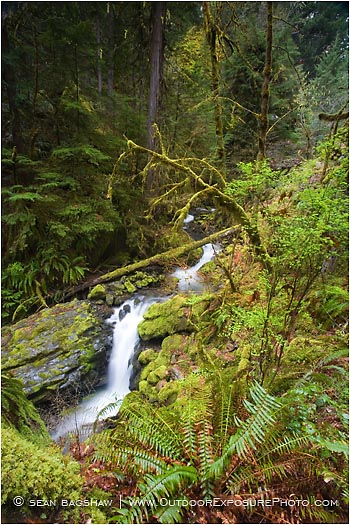 Royalty Free Stock Photo: Waterfall 3