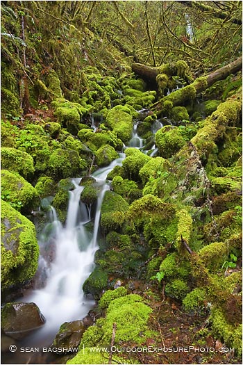 Royalty Free Stock Photo: Waterfall 5