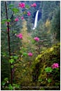 Royalty Free Stock Photo: Waterfall 9