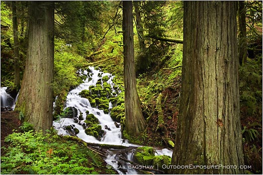 Royalty Free Stock Photo: Waterfall 10