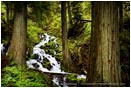 Royalty Free Stock Photo: Waterfall 10