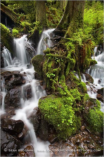 Royalty Free Stock Photo: Waterfall 11