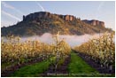 Royalty Free Stock Photo: Table Rock and Pear Orchard 3