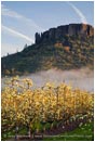 Royalty Free Stock Photo: Table Rock and Pear Orchard 4