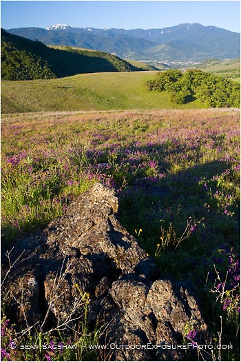 Ashland Hills Stock Image, Dead Indian Memorial Highway, Ashland, Oregon