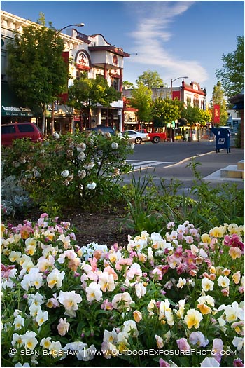 Ashland Plaza 2 Stock Image, Ashland, Oregon