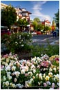 Ashland Plaza 2 Stock Image, Ashland, Oregon