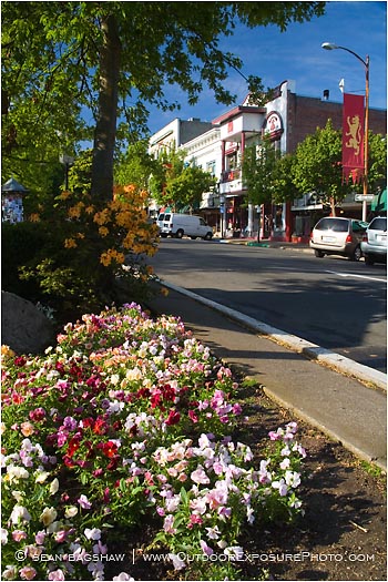 Royalty Free Stock Photo: Ashland Plaza 3