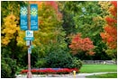 Royalty Free Stock Photo: Lithia Park 2