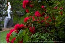 Royalty Free Stock Photo: Lithia Park 3