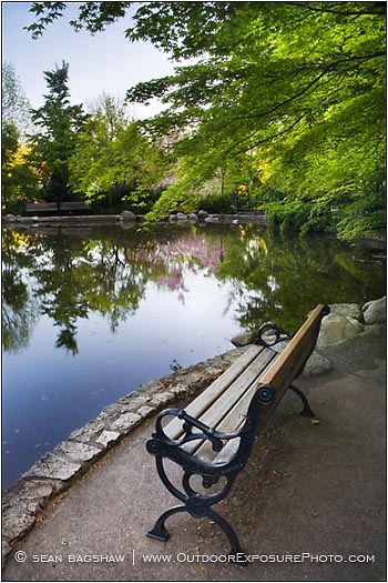 Royalty Free Stock Photo: Lithia Park 5