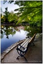 Royalty Free Stock Photo: Lithia Park 5