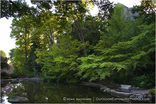 Royalty Free Stock Photo: Lithia Park 6