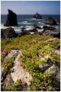 Royalty Free Stock Photo: Northern California Coast 1