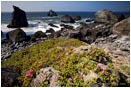 Royalty Free Stock Photo: Northern California Coast 2