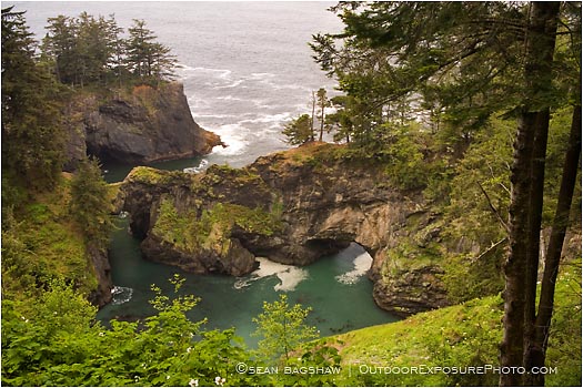 Royalty Free Stock Photo: Oregon Coast 1