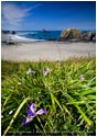 Bandon Beach 7 Stock Image, Bandon, Oregon Coast