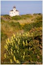 Royalty Free Stock Photo: Coquille River Lighthouse 6