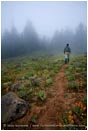 Royalty Free Stock Photo: Hiker 3
