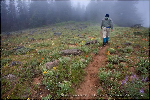 Royalty Free Stock Photo: Hiker 4
