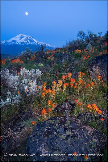 Print: Shasta Nightfall