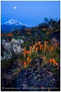 Shasta Nightfall Print Shasta Valley, California