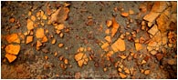 Print: Indian Sands