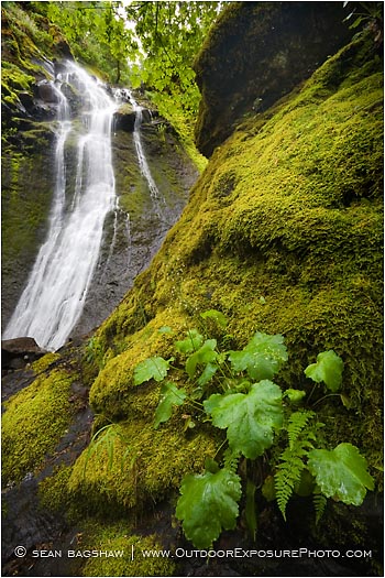 Royalty Free Stock Photo: Emigrant Falls