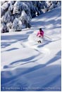 Rights Managed Stock Image: Winter Sanctuary