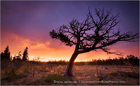 Print: Red Sky In The Morning