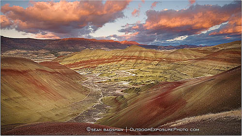 Print: Earth Palette