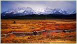 Print: Early Winter