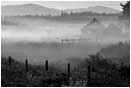 Royalty Free Stock Photo: Morning Mist