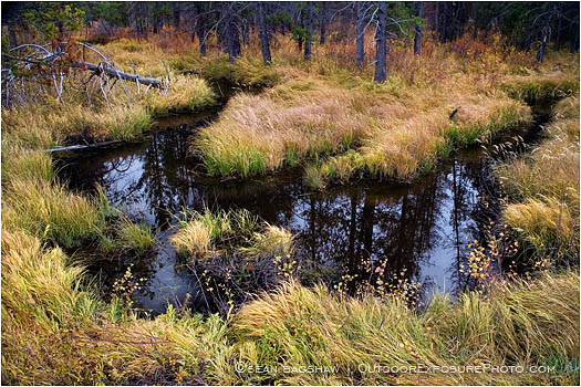 Rights Managed Stock Photo: Serpentine Stream
