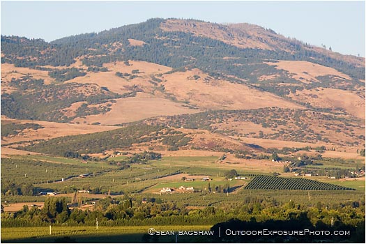 Royalty Free Stock Photo: Rogue Valley 11
