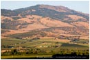Royalty Free Stock Photo: Rogue Valley 11
