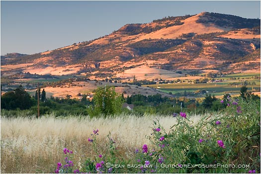 Royalty Free Stock Photo: Rogue Valley 12