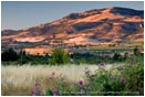 Royalty Free Stock Photo: Rogue Valley 12
