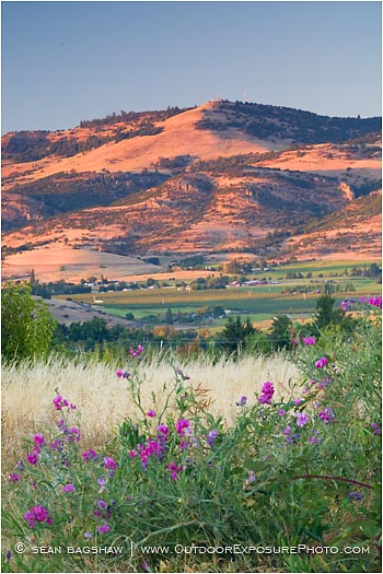 Royalty Free Stock Photo: Rogue Valley 13