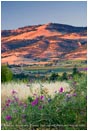 Royalty Free Stock Photo: Rogue Valley 13