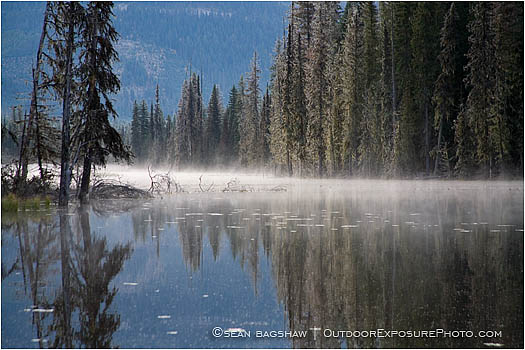 Royalty Free Stock Photo: Misty Forest Lake