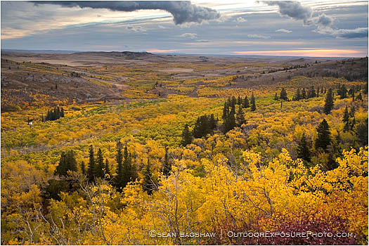Royalty Free Stock Photo: Montana Fall Foliage