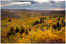 Royalty Free Stock Photo: Montana Fall Foliage