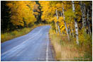 Royalty Free Stock Photo: Country Road in Fall 1
