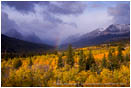 Royalty Free Stock Photo: Montana Fall Foliage 2