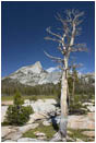 Royalty Free Stock Photo: Cathedral Peak And Tree