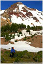 Royalty Free Stock Photo: Below North Sister