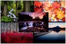 Screen Saver: Landscape and Nature