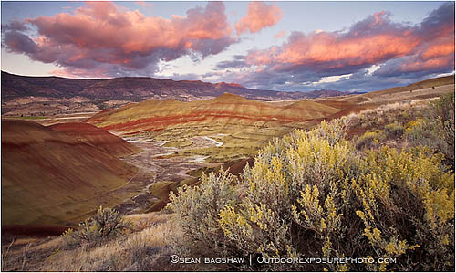 Rights Managed Stock Photo: Painted Hills and Sage