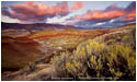 Print: Painted Hills and Sage